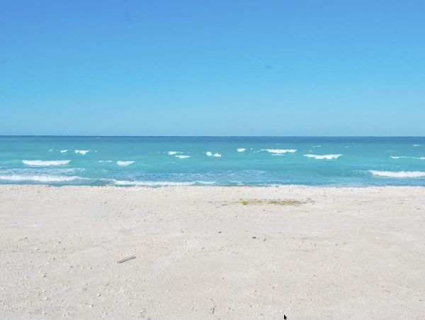 Luxurious Beach Villa in Bimini Bay - Your Ultimate Coastal Retreat